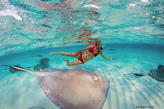 14 Must-Do Experiences in the Cayman Islands: Beyond World-Class Diving