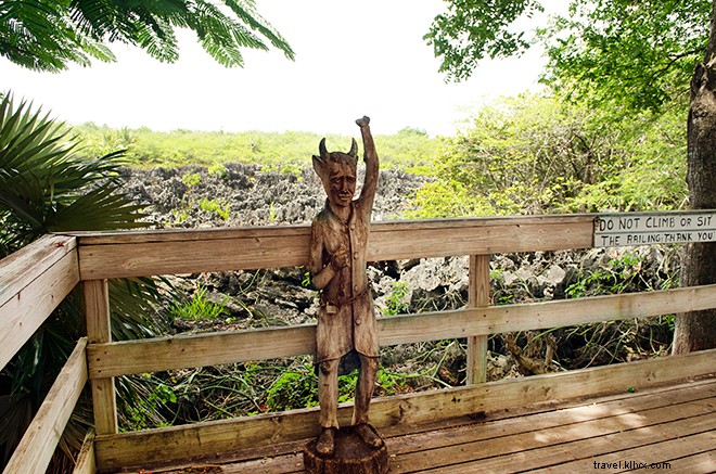 14 Must-Do Experiences in the Cayman Islands: Beyond World-Class Diving