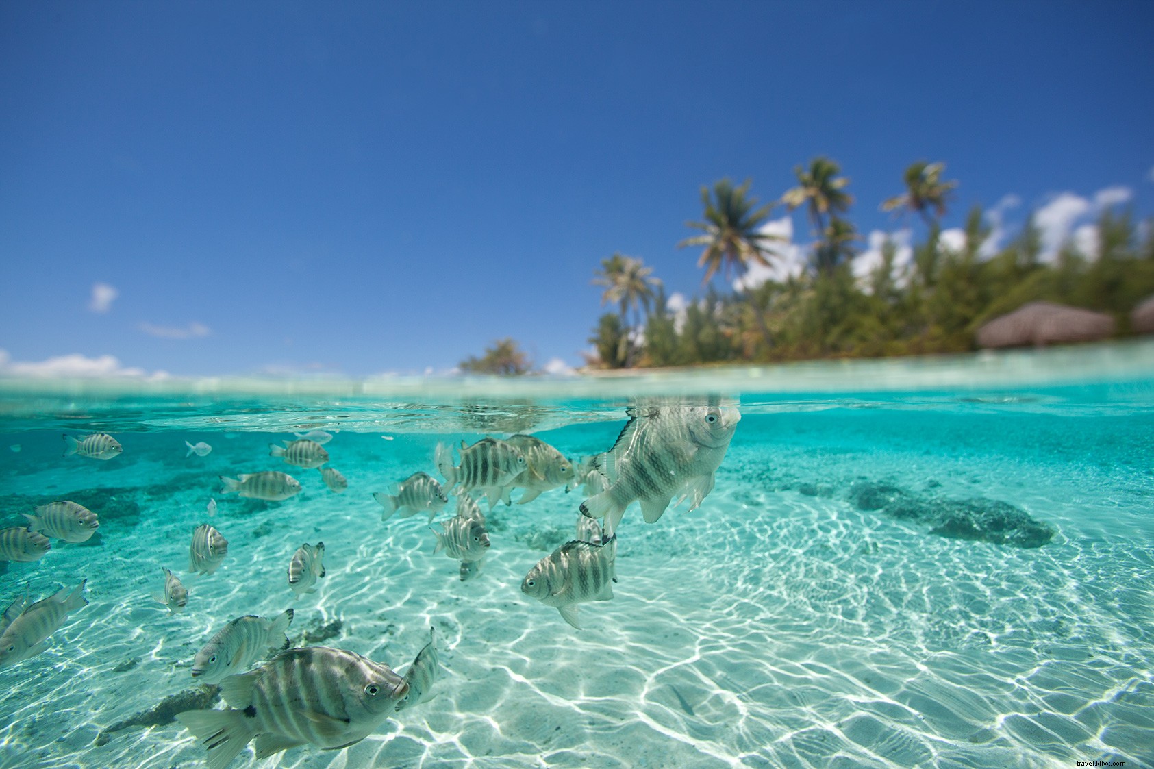 12 Compelling Reasons the Islands of Tahiti Transcend Their Iconic Beauty