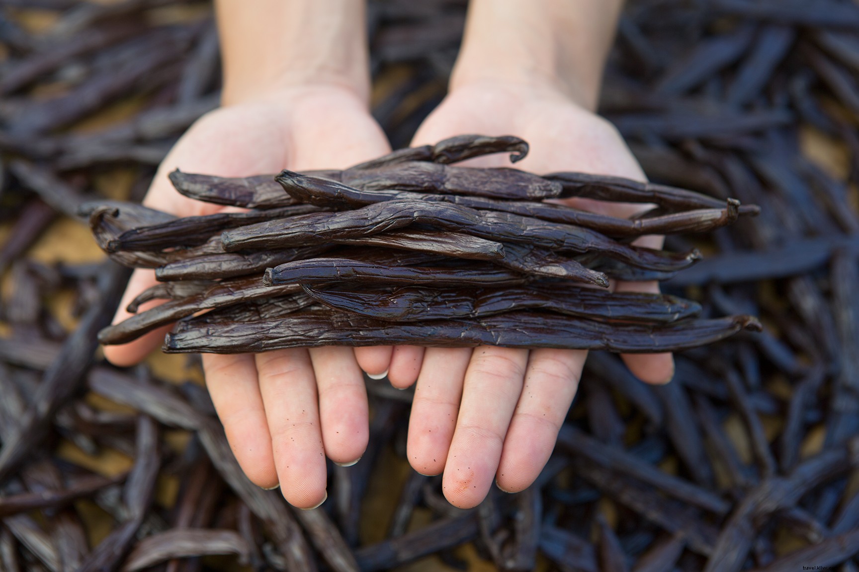 12 Compelling Reasons the Islands of Tahiti Transcend Their Iconic Beauty