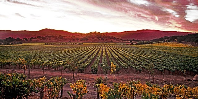 Top California Hotels Under $199: Wine Country, Beaches, Cities & Iconic Destinations