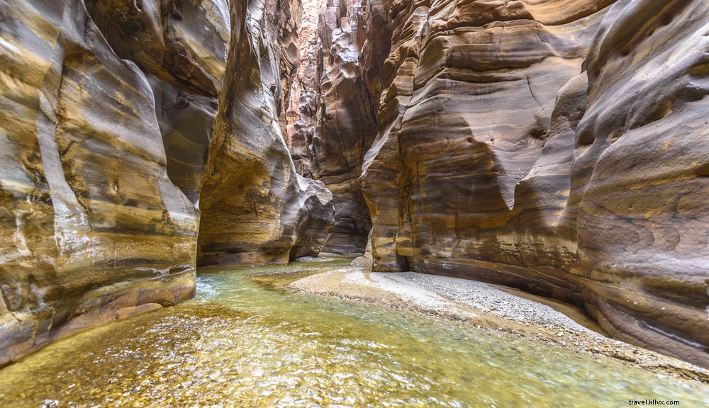 Why Savvy Travelers Adore Jordan: 10 Compelling Reasons to Visit