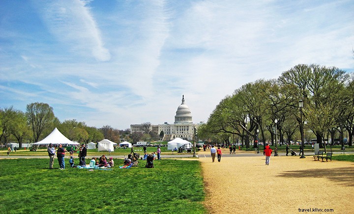 19 Free Things to Do in Washington, D.C.: Expert Guide to Budget-Friendly Family Vacations