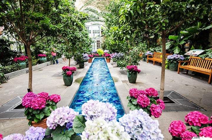 19 Free Things to Do in Washington, D.C.: Expert Guide to Budget-Friendly Family Vacations