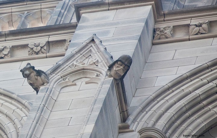 19 Free Things to Do in Washington, D.C.: Expert Guide to Budget-Friendly Family Vacations