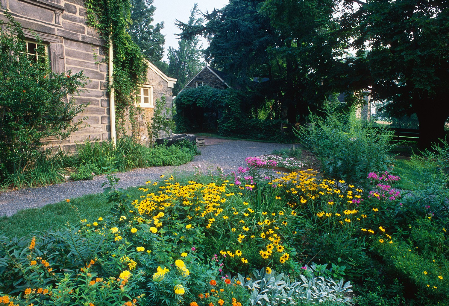 9 Best Free Things to Do in Philadelphia: Iconic Attractions Without Spending a Dime