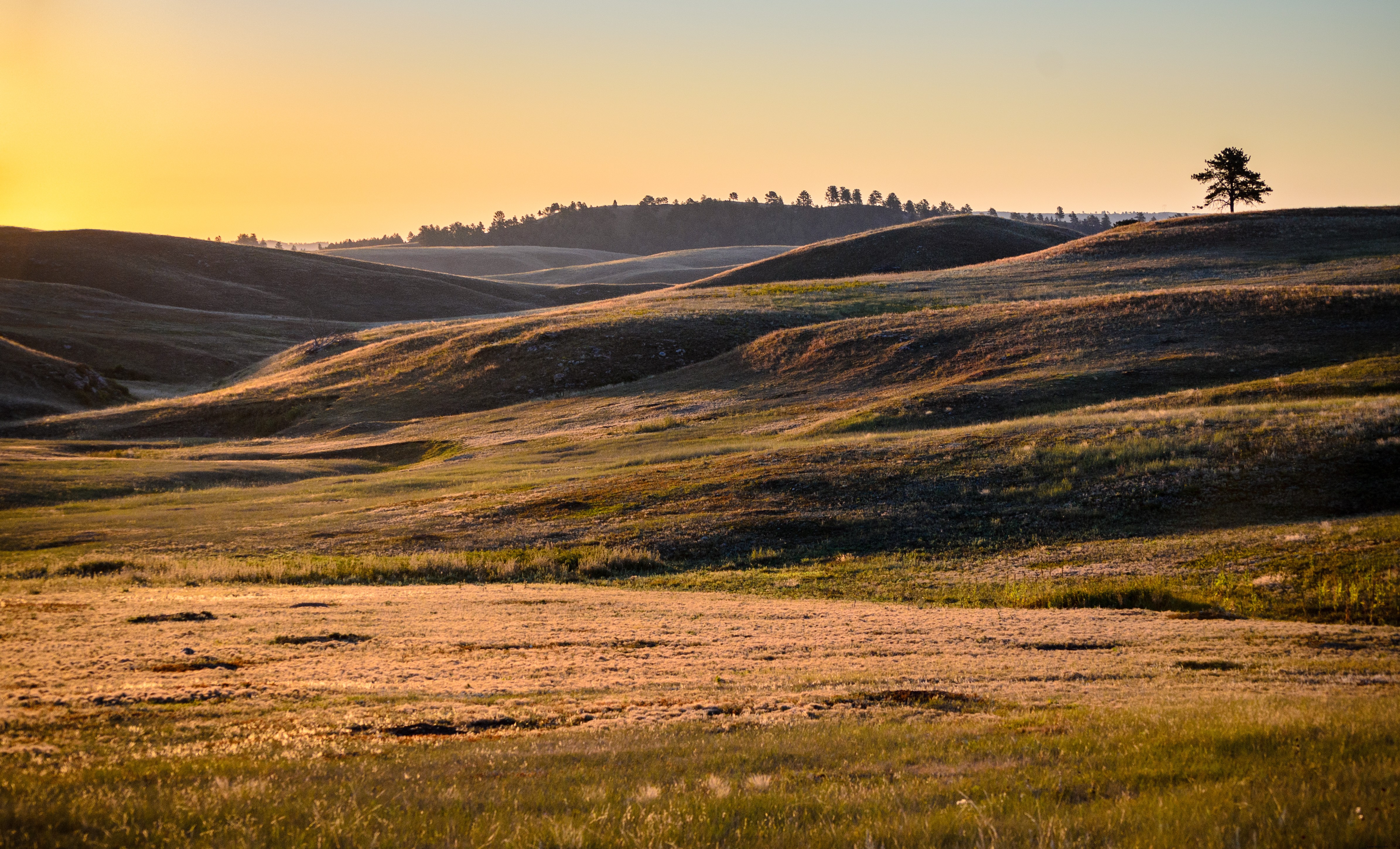 10 Smallest U.S. National Parks: Hidden Gems for Uncrowded Adventures