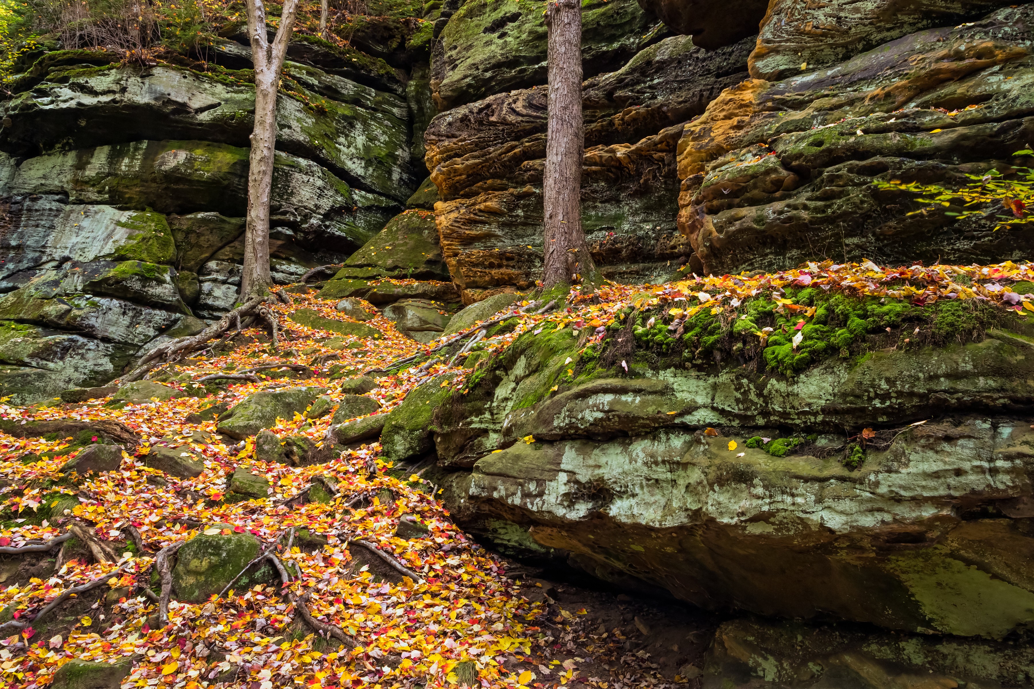 10 Smallest U.S. National Parks: Hidden Gems for Uncrowded Adventures