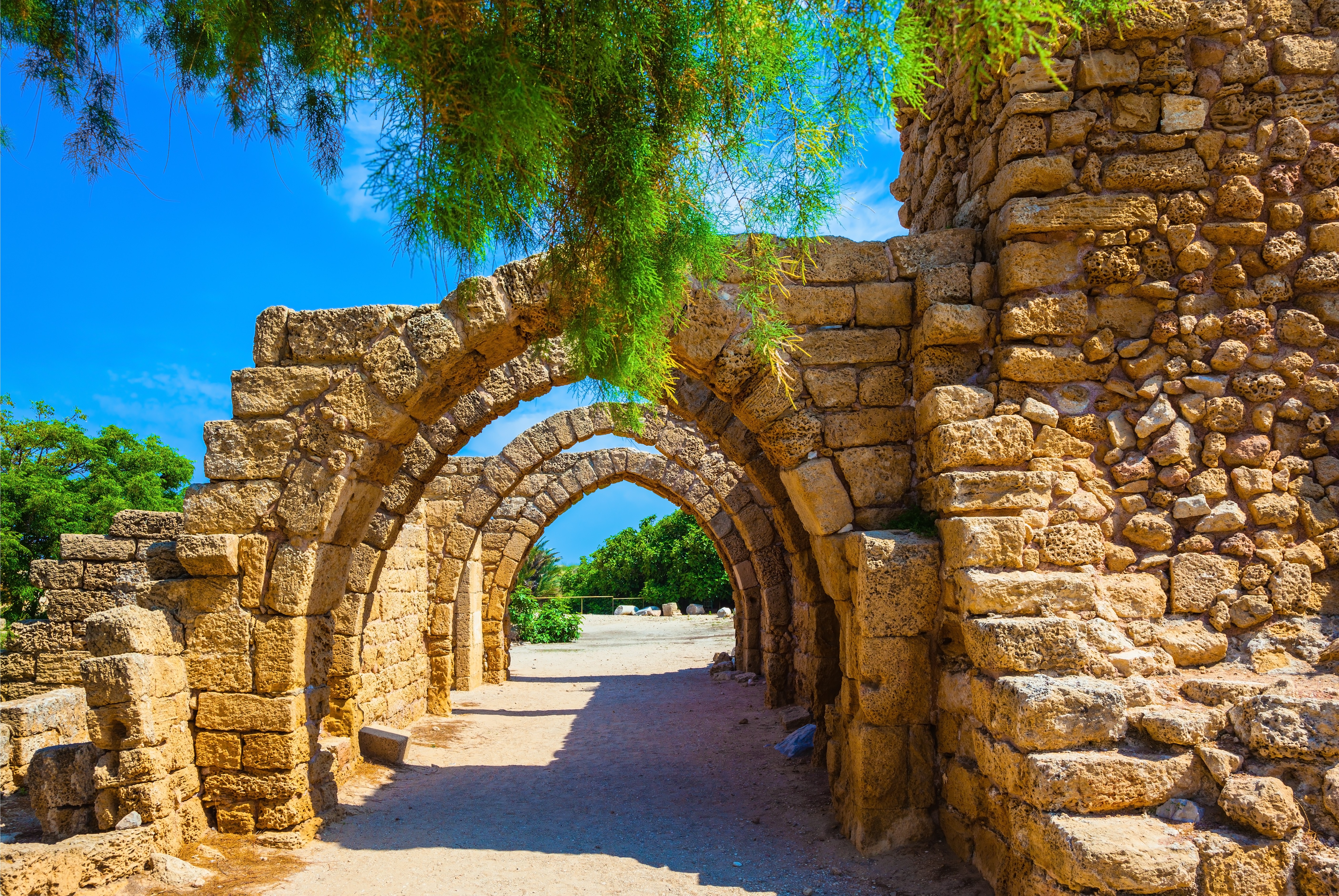 5 Surprising Discoveries from Our First Trip to Israel