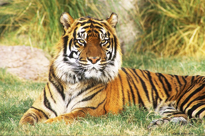 Beyond Cactus League Spring Training: 14 Must-See Arizona Activities Near Phoenix