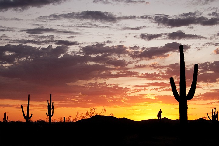 Beyond Cactus League Spring Training: 14 Must-See Arizona Activities Near Phoenix