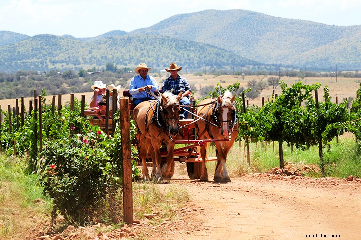 Beyond Cactus League Spring Training: 14 Must-See Arizona Activities Near Phoenix