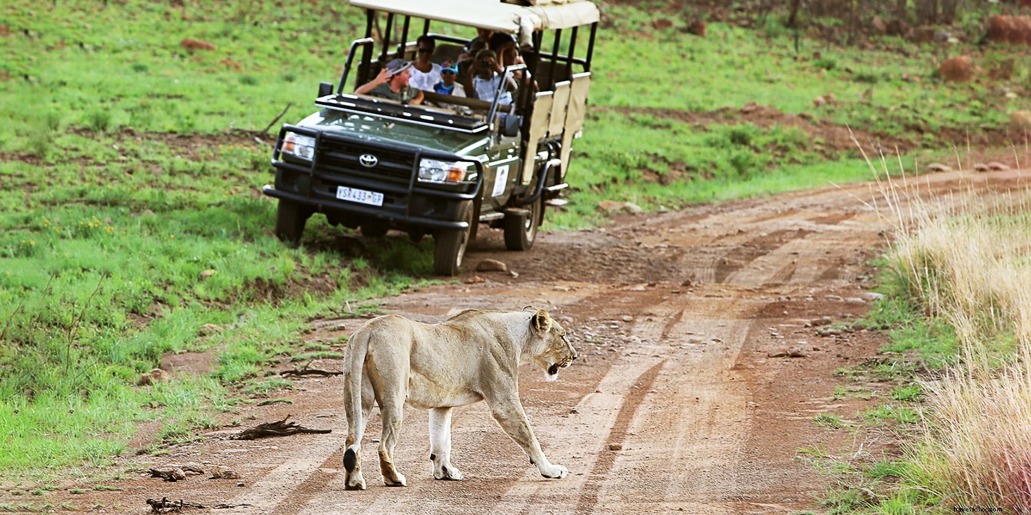 Exclusive Leap Year Travel Deals: Rare Offers Every 4 Years