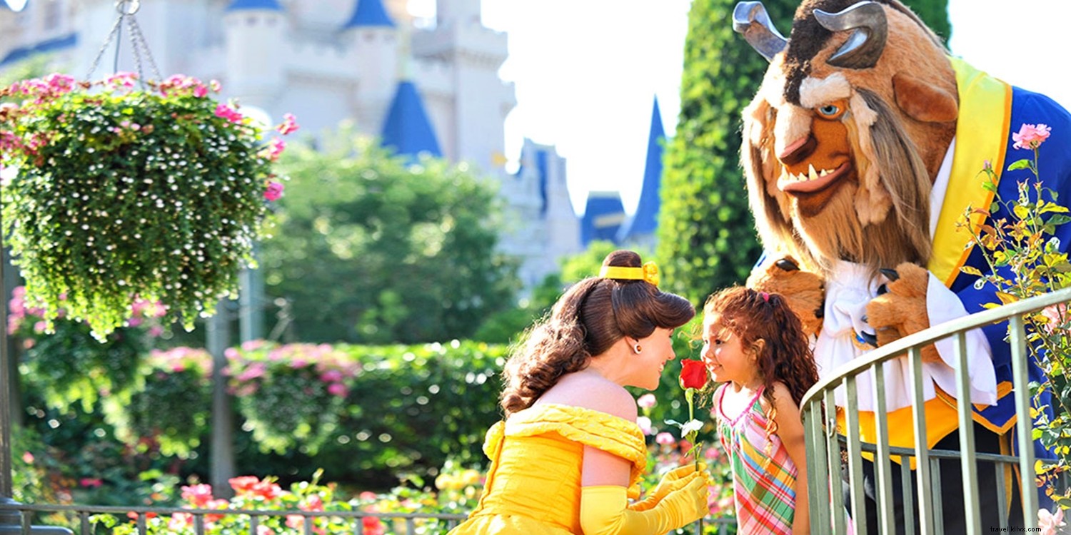 Expert Tips to Plan a Budget-Friendly Disney and Orlando Vacation