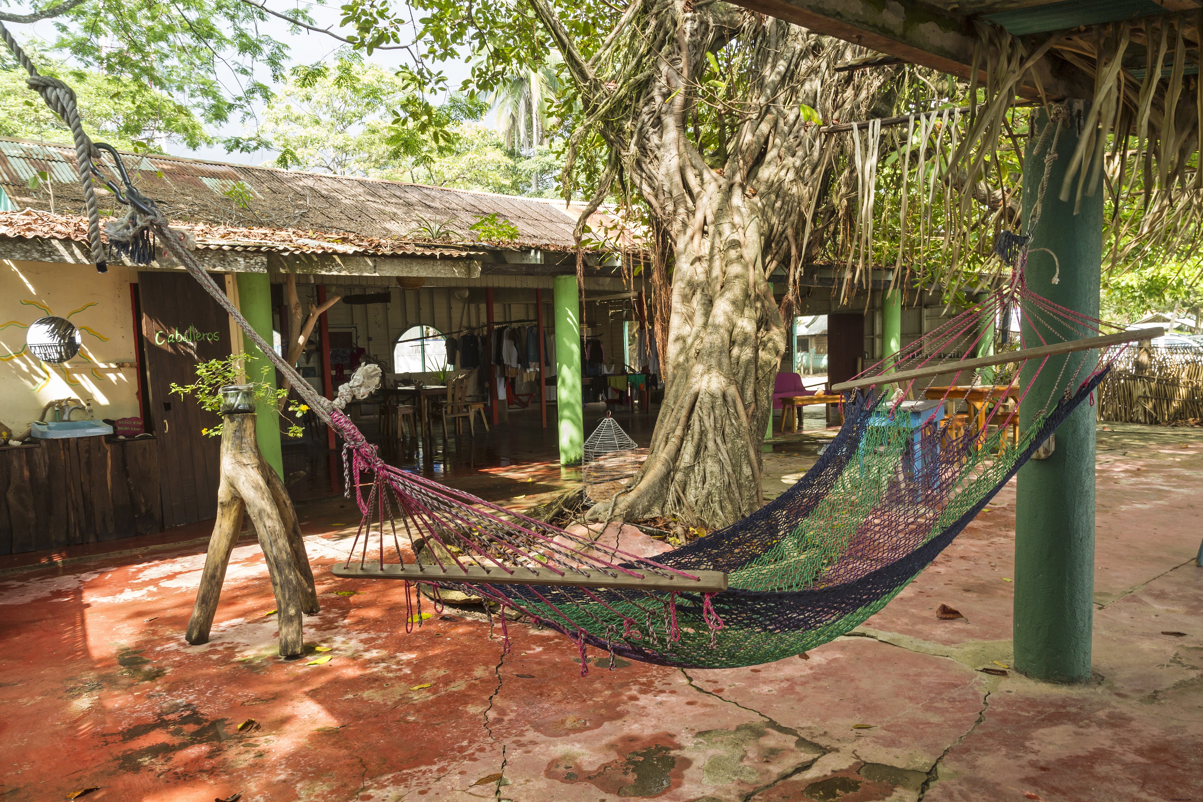 Travel Experts Share Their Most Embarrassing Rookie Mistakes: Real Lessons from the Pros