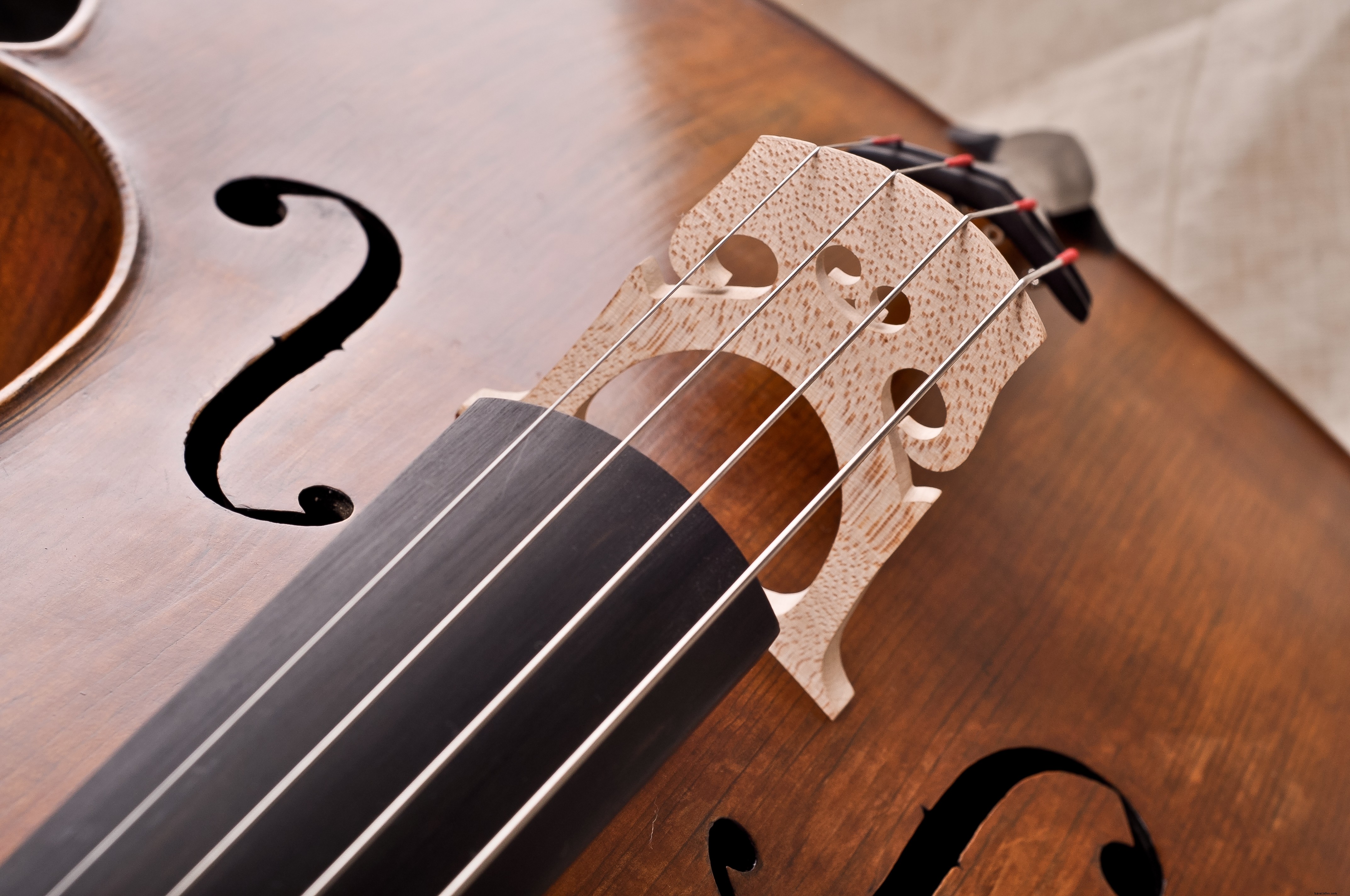 Travel Experts Share Their Most Embarrassing Rookie Mistakes: Real Lessons from the Pros