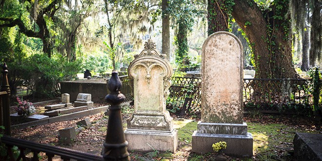 16 Compelling Reasons to Visit Savannah, Georgia – And Why You ll Never Want to Leave