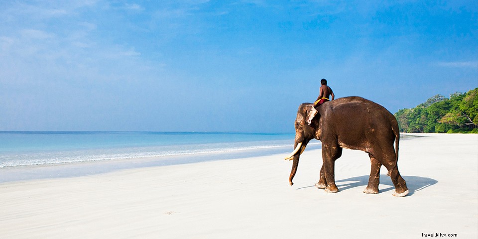 17 Extraordinary Adventures in India: From Pristine Beaches to the Himalayas
