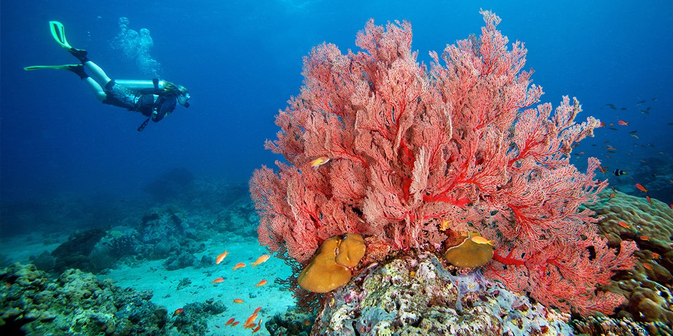 17 Extraordinary Adventures in India: From Pristine Beaches to the Himalayas