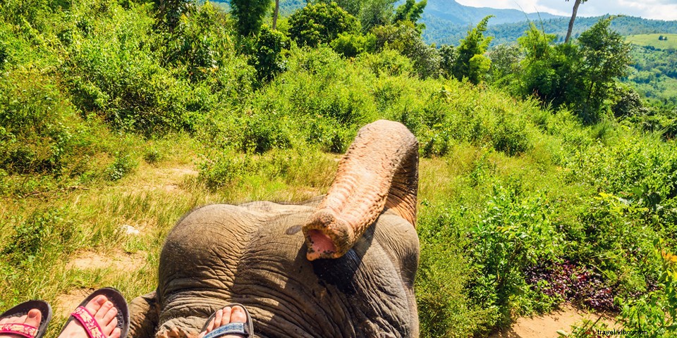 17 Extraordinary Adventures in India: From Pristine Beaches to the Himalayas