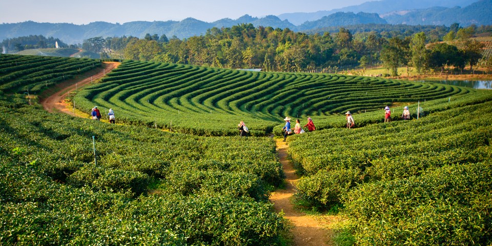 17 Extraordinary Adventures in India: From Pristine Beaches to the Himalayas