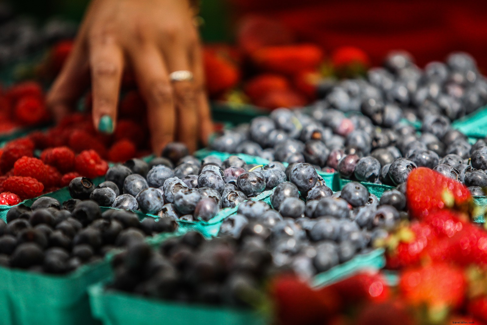 20 Iconic Reasons Portland Stays Wonderful and Weird