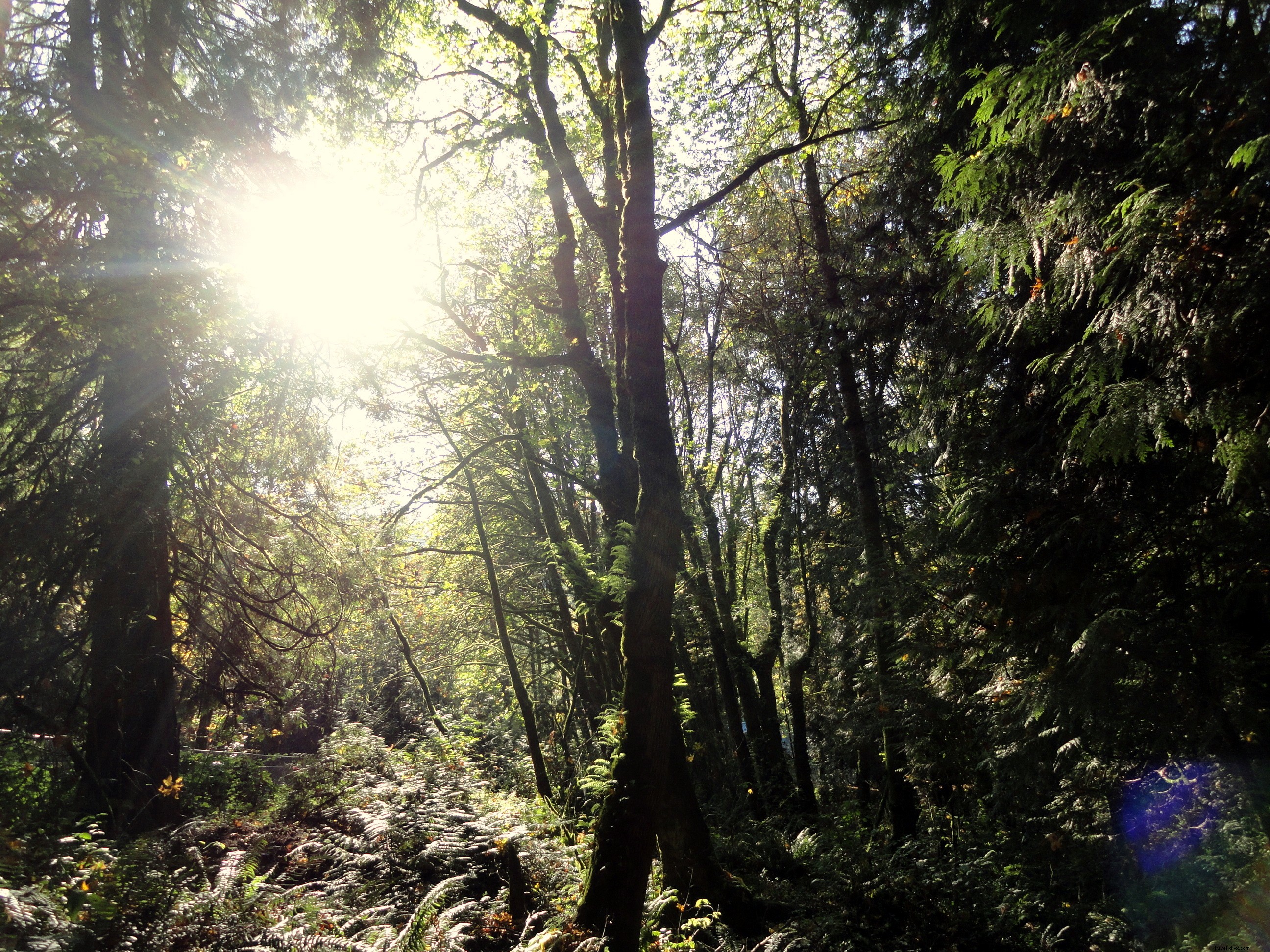 20 Iconic Reasons Portland Stays Wonderful and Weird