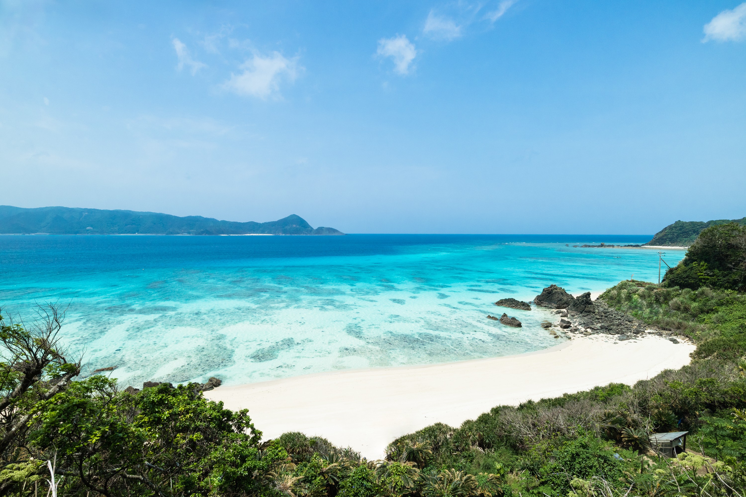 Okinawa s Blue Zone Secrets: The Ultimate Souvenir for a Long, Healthy, Happy Life