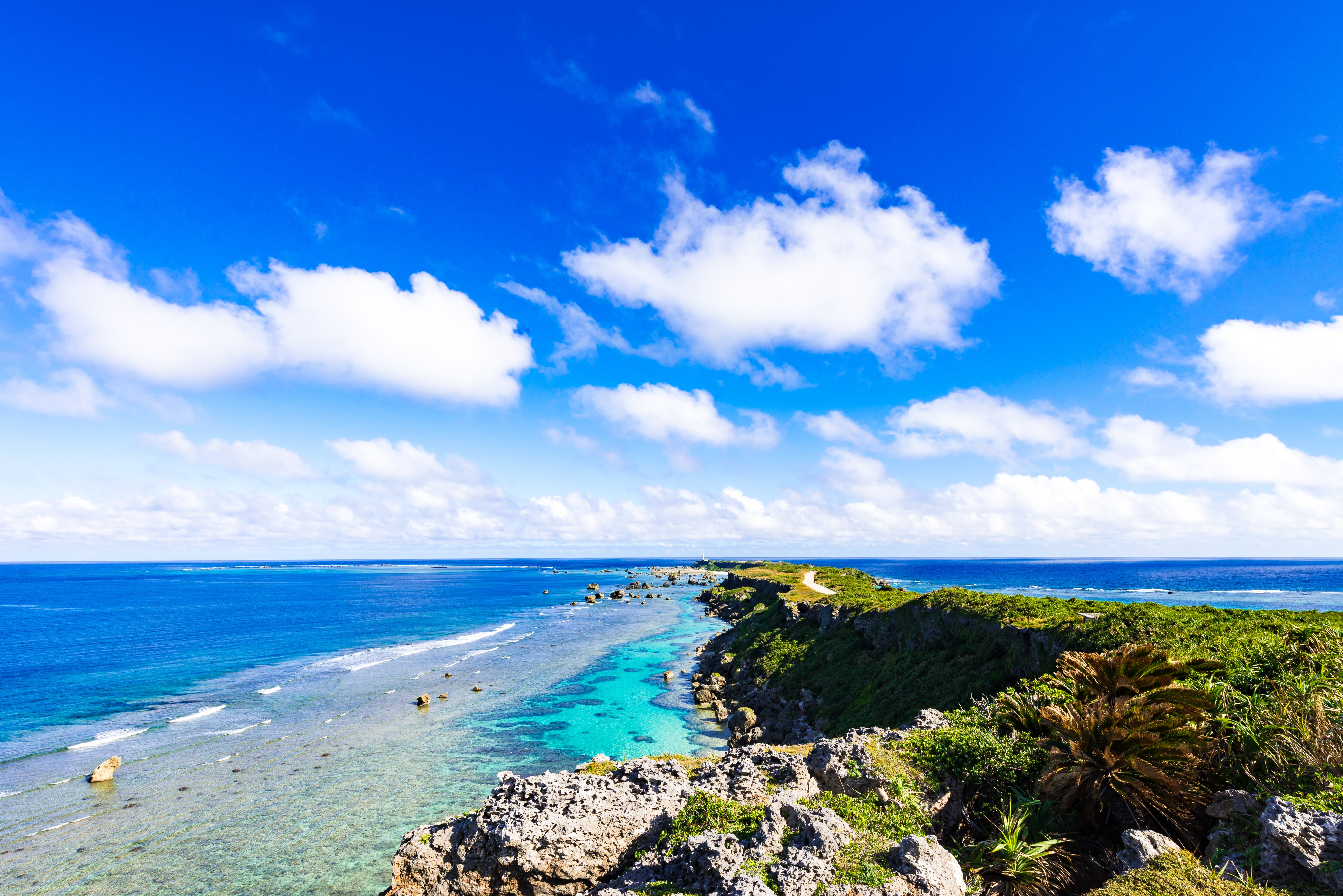 Okinawa s Blue Zone Secrets: The Ultimate Souvenir for a Long, Healthy, Happy Life