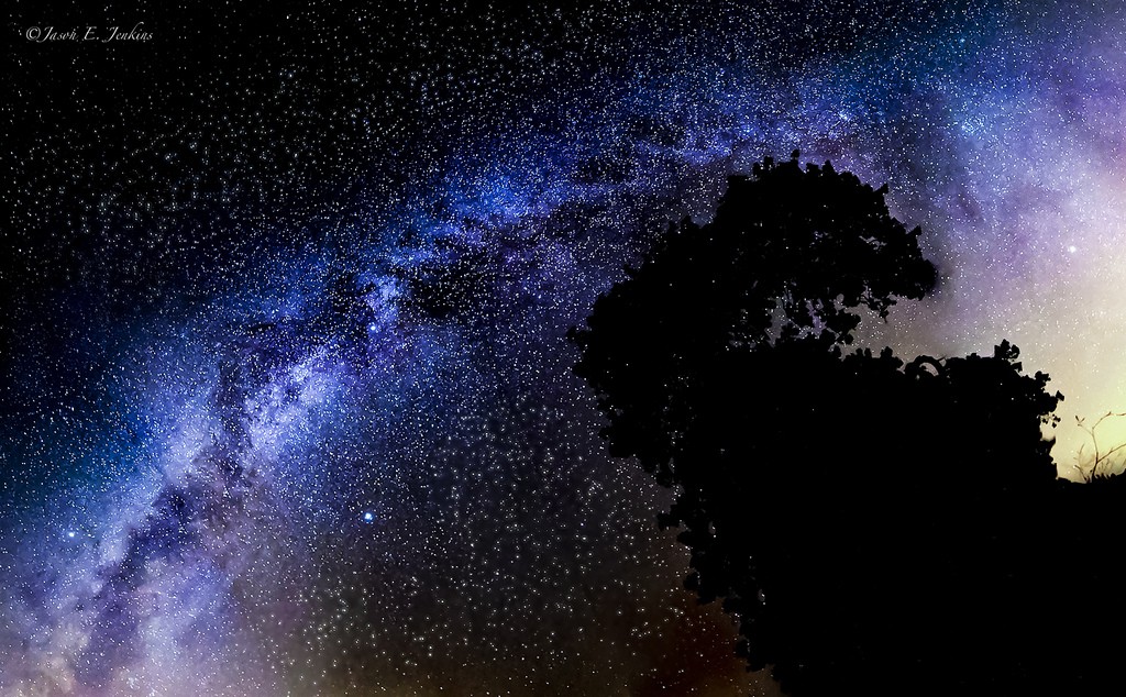 Here s What s Up: Fall Foliage Vibes, Adorable Wildlife, NYC on a Budget & More