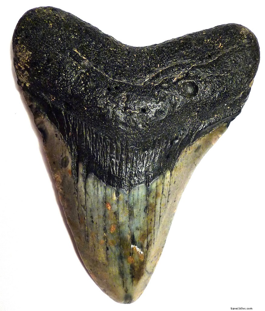 Here s What s Up: This Week s Top Travel News – Halloween Edition