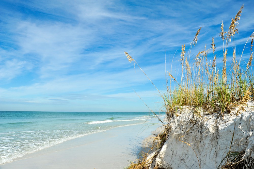 5 Compelling Reasons to Visit Florida s West Coast: Your Ultimate Beach Escape