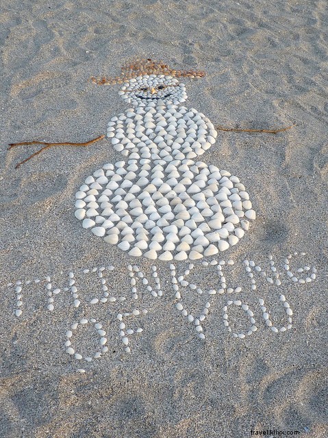 5 Compelling Reasons to Visit Florida s West Coast: Your Ultimate Beach Escape