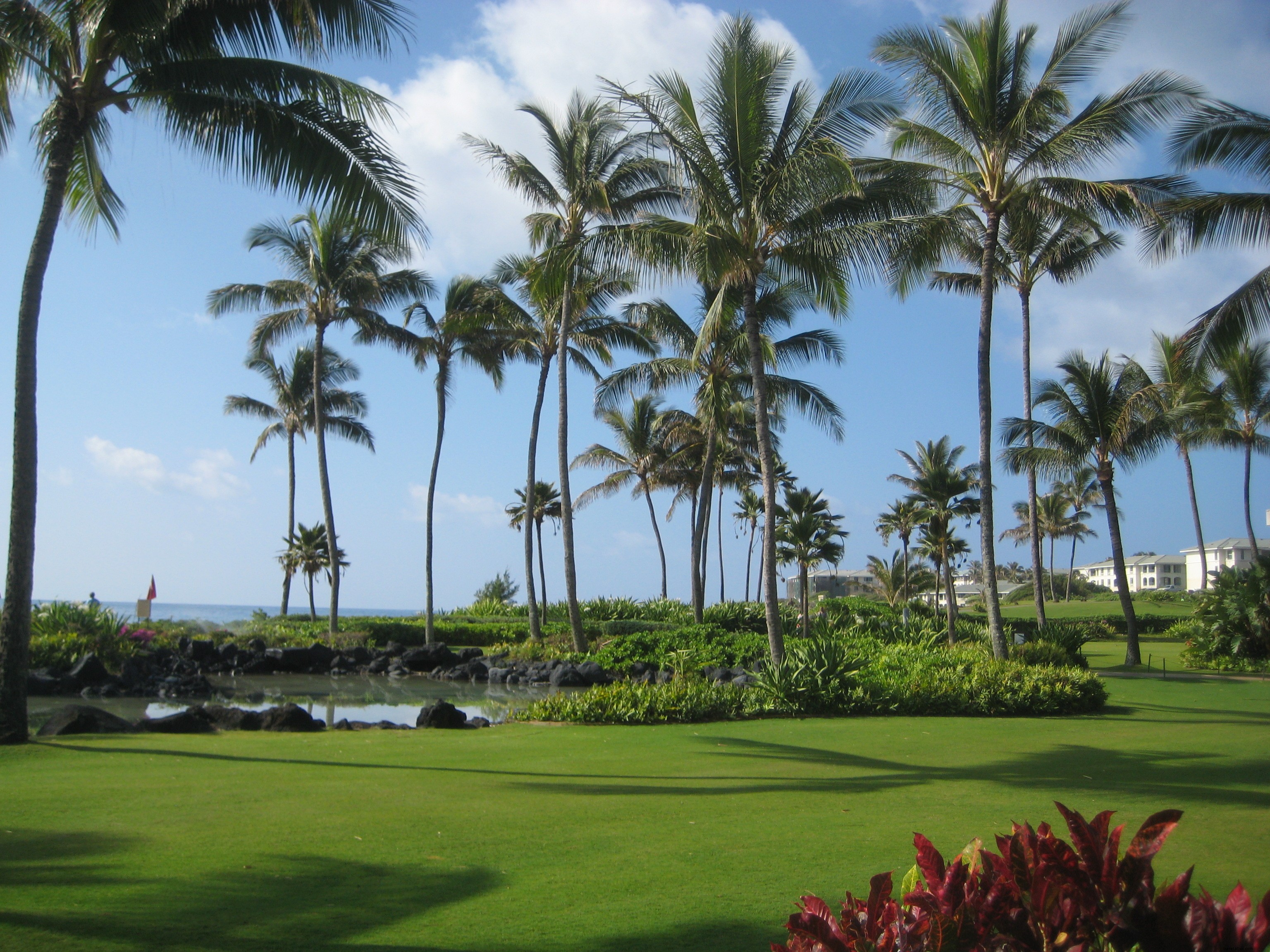 Rediscovering Kauai: Falling in Love Again with Hawaii s Garden Isle