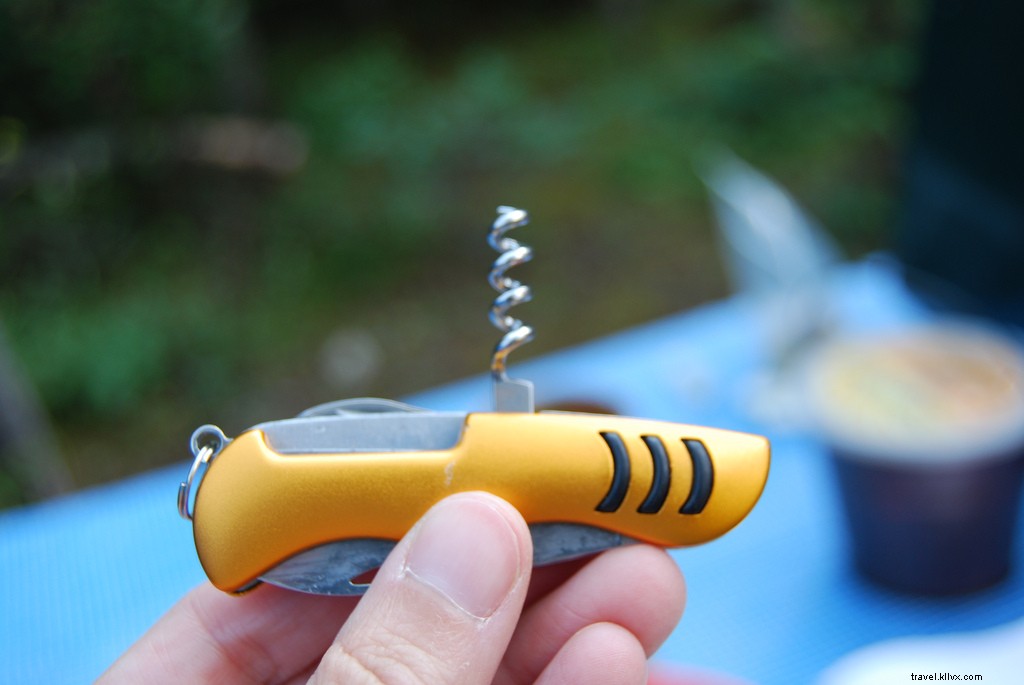 Don t Board Your Flight Without These Expert-Recommended Travel Essentials