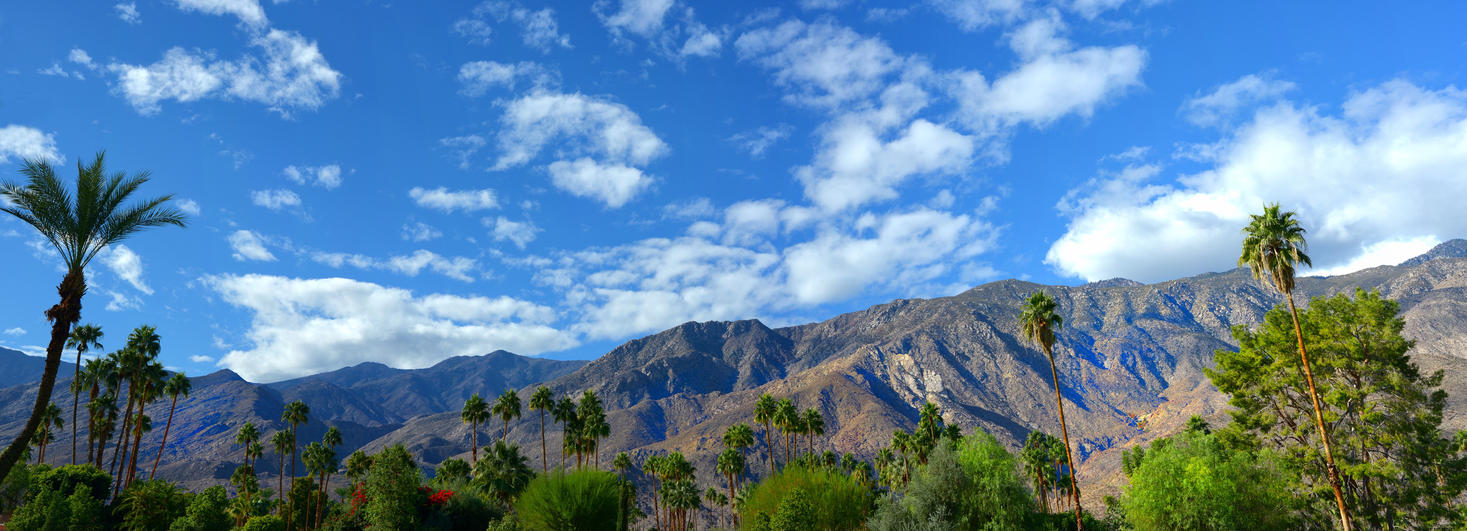 5 Free Things to Do in Palm Springs: Desert Fun Without Spending a Dime