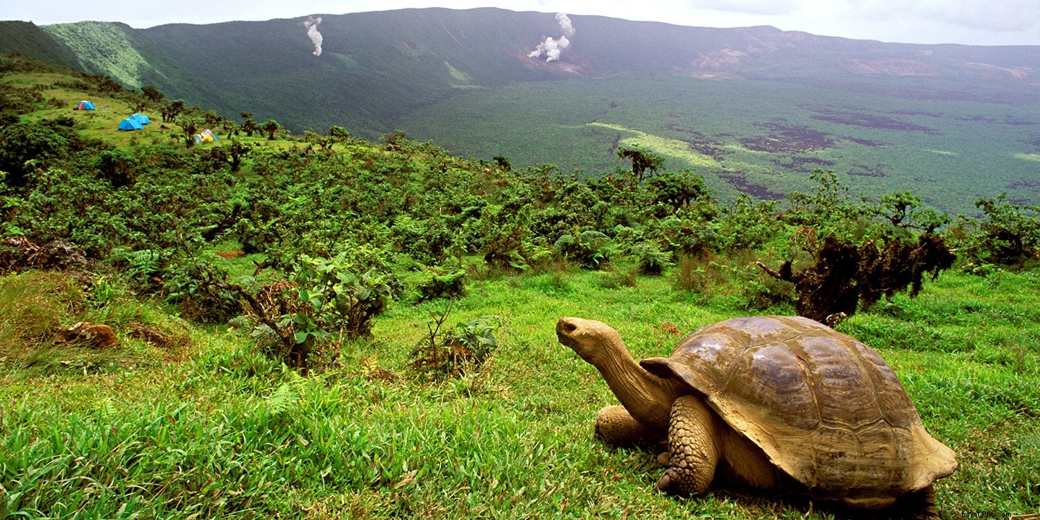 Love South Beach? Discover Rio and More: Your South America Travel Cheat Sheet