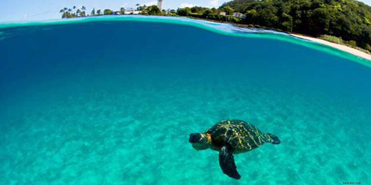 Why September is the Top Month for Travel Deals: Save Up to 50% on Flights, Beaches, and More