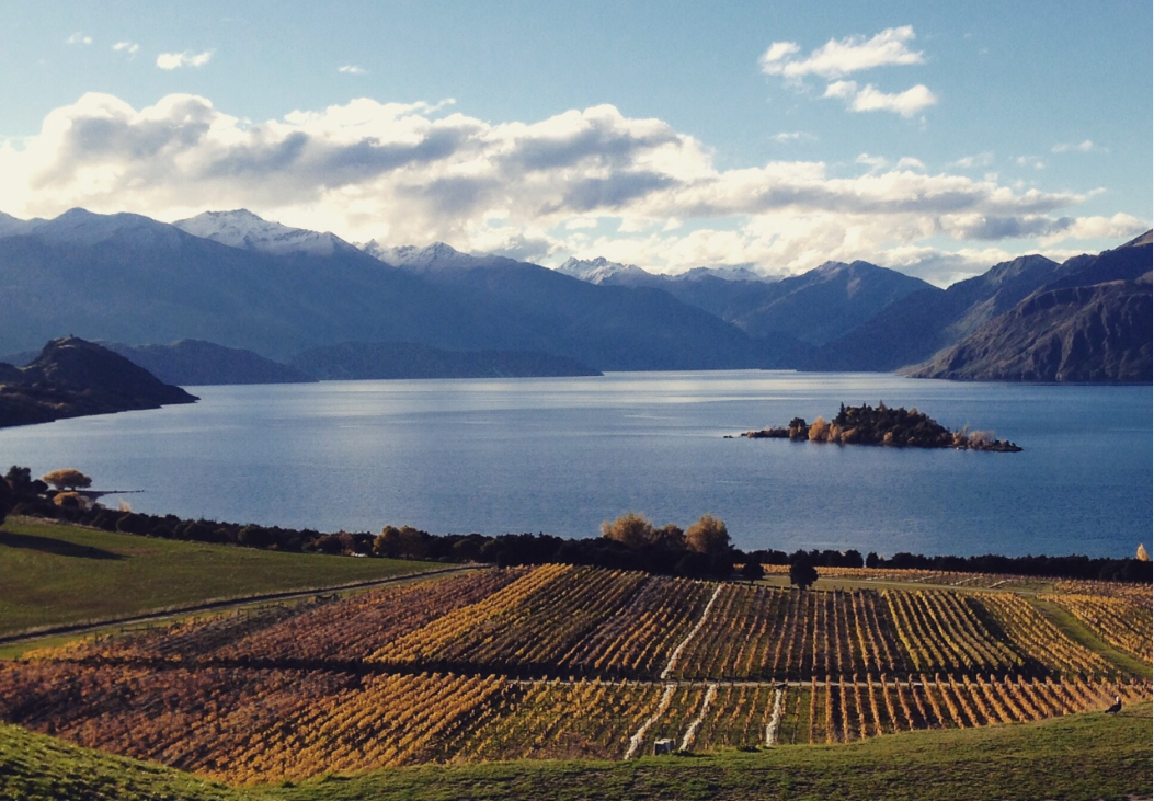 7 Must-Do Adventures on New Zealand s South Island: Our Epic Honeymoon Road Trip