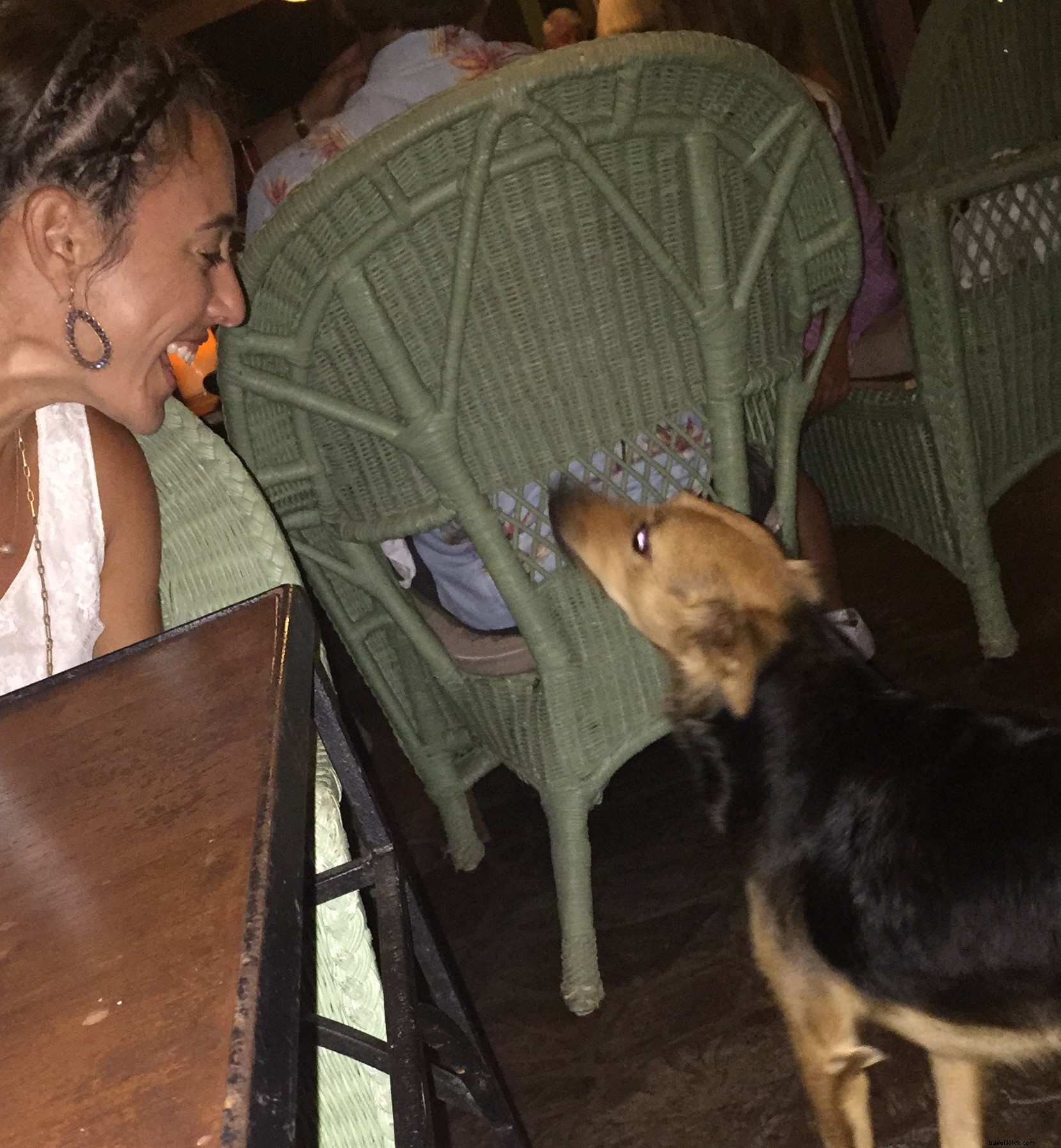 4 Compelling Reasons to Discover Nevis: The Caribbean s Hidden Gem