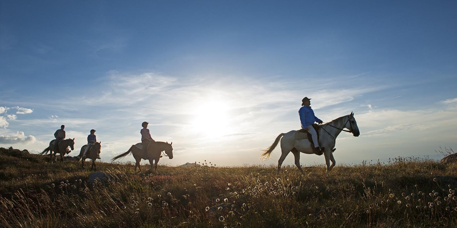 Travelzoo Poll: Friendliest Countries and Cities for Travelers Revealed