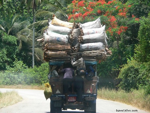 10 Epic Travel Transportation Adventures: Real Stories from Travelzoo Experts