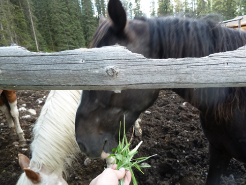 10 Epic Travel Transportation Adventures: Real Stories from Travelzoo Experts