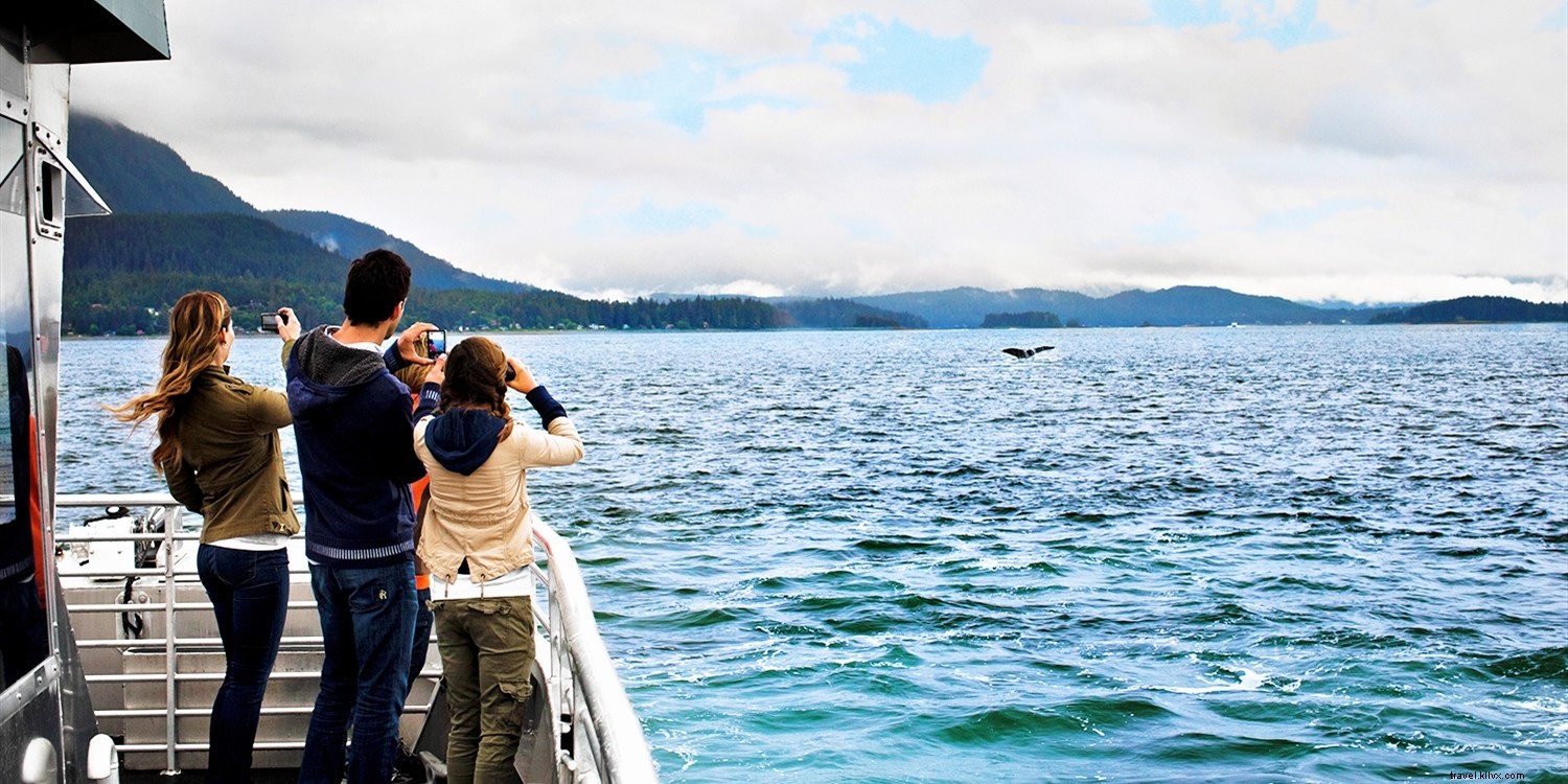 10 Essential Factors to Consider Before Booking Your Perfect Cruise