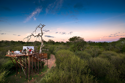Top Treehouse Hotels Worldwide: Relive Childhood Dreams in Luxurious Treetop Stays