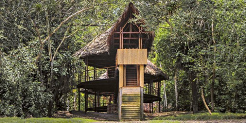 Top Treehouse Hotels Worldwide: Relive Childhood Dreams in Luxurious Treetop Stays