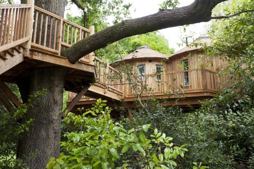 Top Treehouse Hotels Worldwide: Relive Childhood Dreams in Luxurious Treetop Stays
