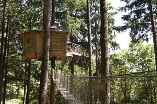 Top Treehouse Hotels Worldwide: Relive Childhood Dreams in Luxurious Treetop Stays