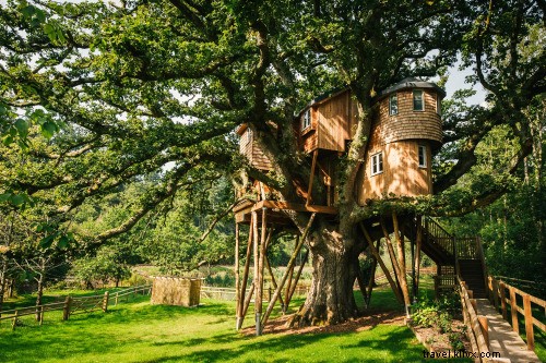 Top Treehouse Hotels Worldwide: Relive Childhood Dreams in Luxurious Treetop Stays