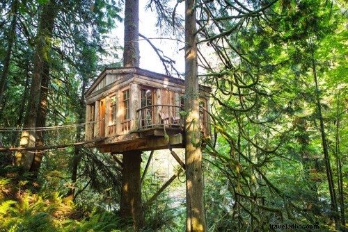 Top Treehouse Hotels Worldwide: Relive Childhood Dreams in Luxurious Treetop Stays